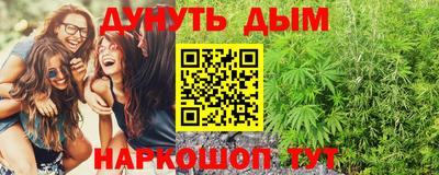 СК Гатчина
