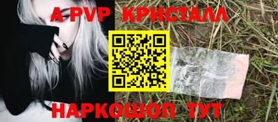 СК Гатчина