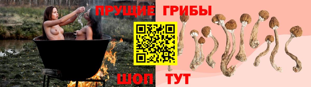 Шебекино  Галлюциногенные грибы Psilocybine cubensis  Вход с VPN  Галлюциногенные грибы Cubensis 